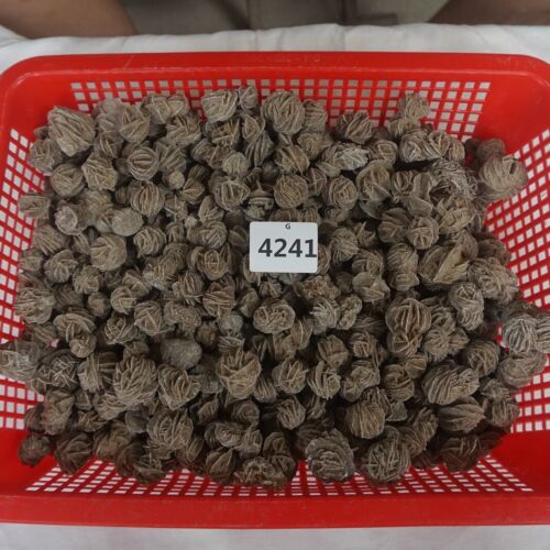5kg 11LB Natural Desert Rose Crystal Selenite Sand Rose Rock Stone Cluster Sahara Bulk