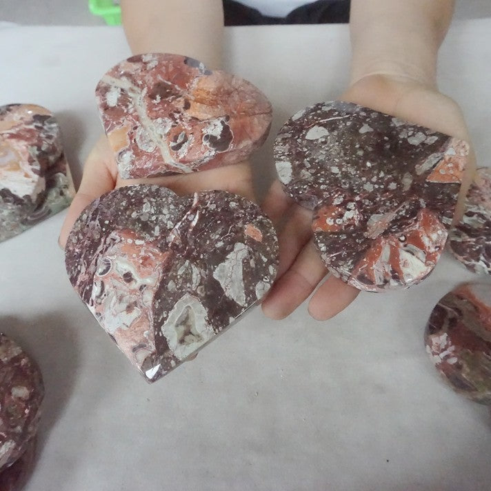10Pcs 6LB Natural Money Agate Wealth Abundance Crystal Heart Chakra Stone Healing