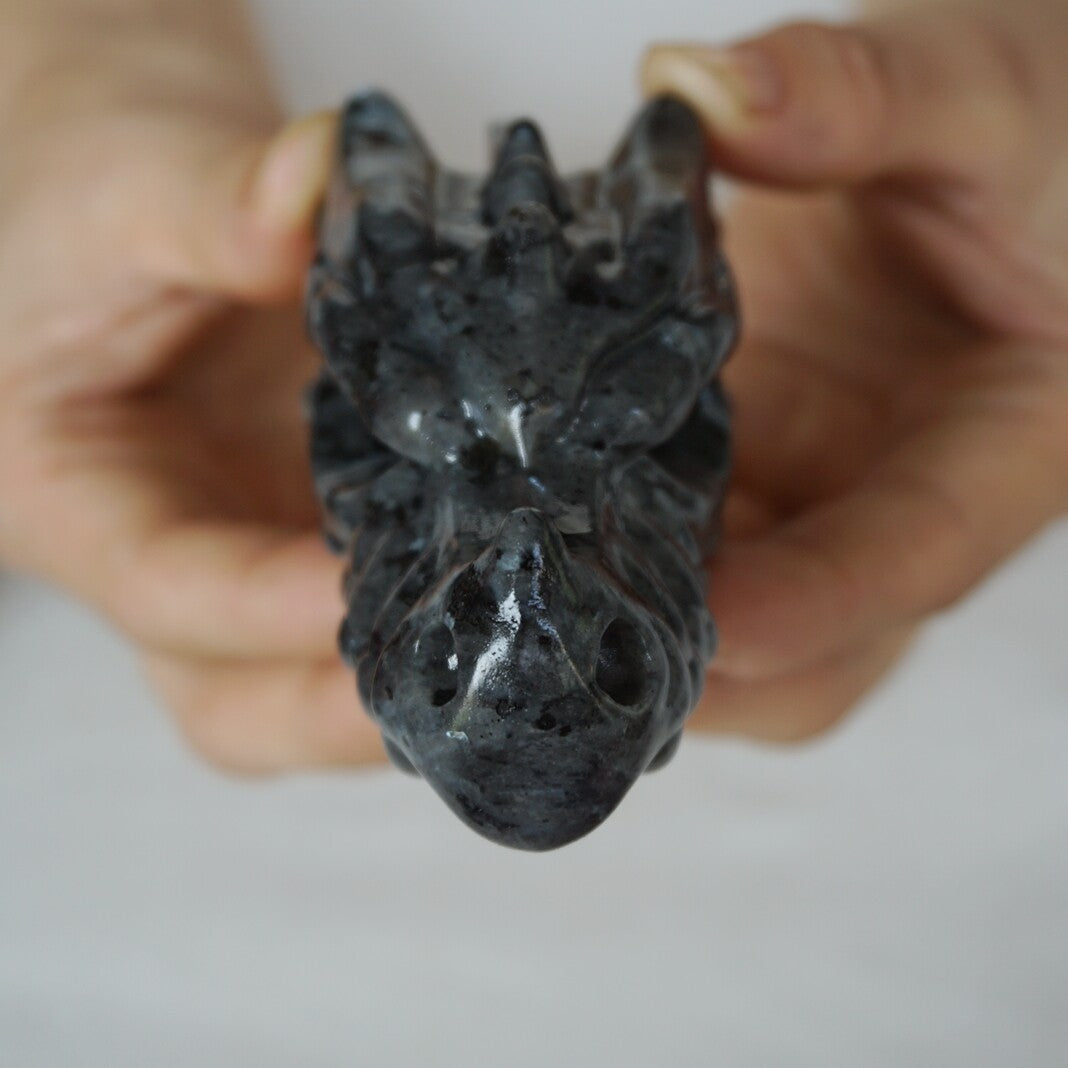 10Pcs 1.8KG 4LB Natural Flashy Larvikite Labradorite Crystal Dragon Head Carving 8cm