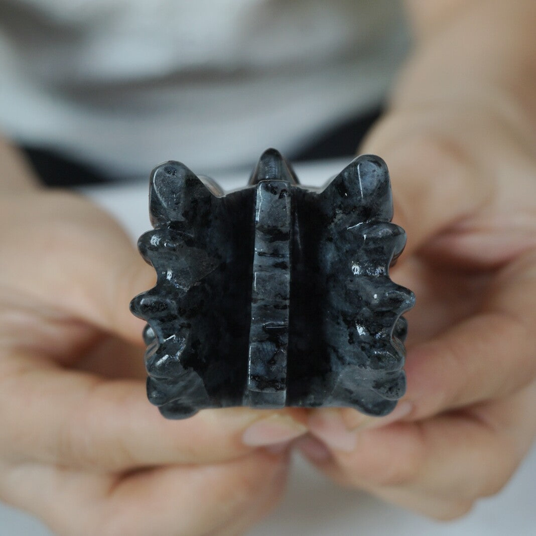 10Pcs 1.8KG 4LB Natural Flashy Larvikite Labradorite Crystal Dragon Head Carving 8cm