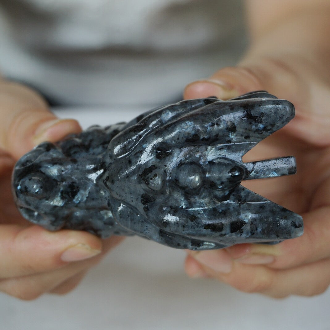 10Pcs 1.8KG 4LB Natural Flashy Larvikite Labradorite Crystal Dragon Head Carving 8cm