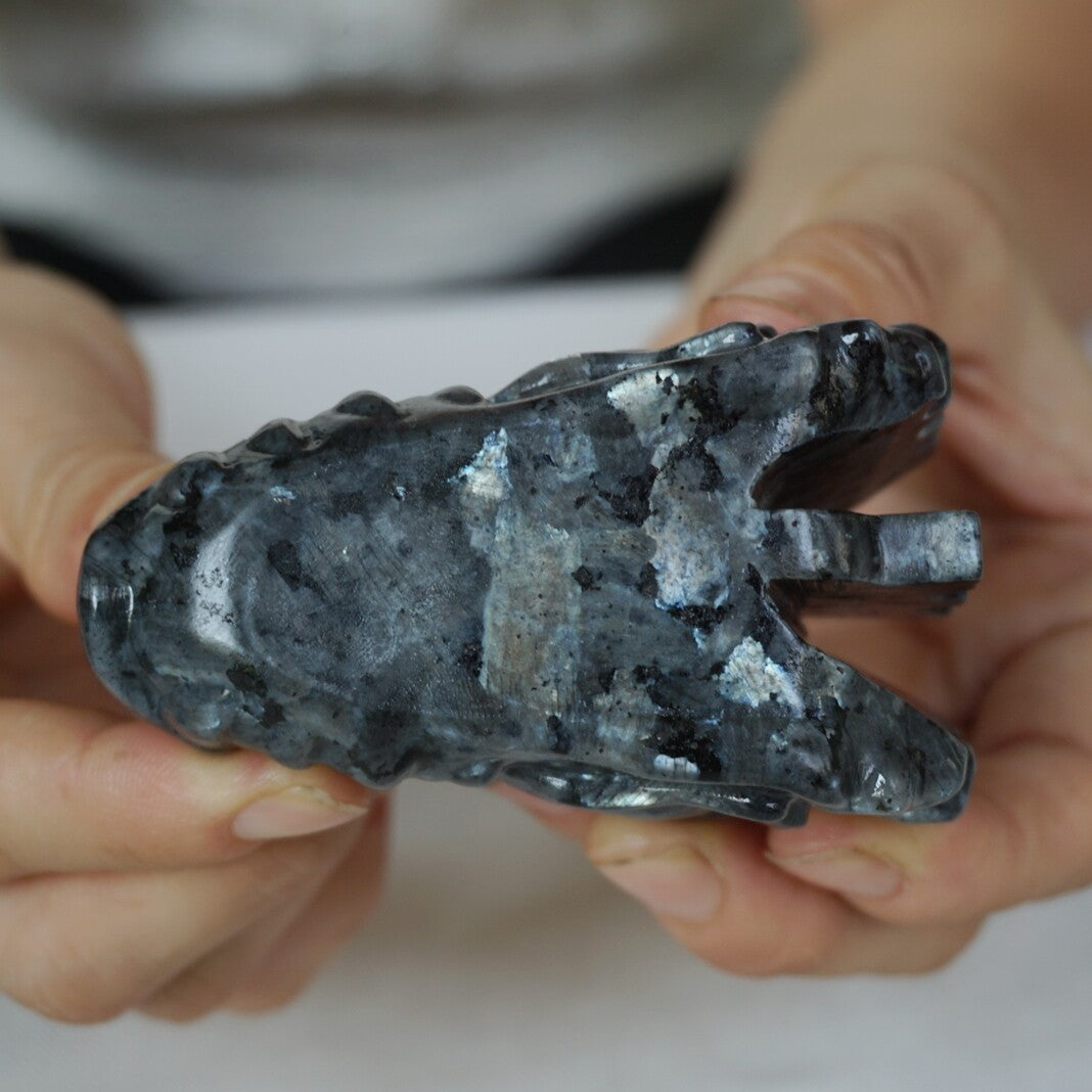 10Pcs 1.8KG 4LB Natural Flashy Larvikite Labradorite Crystal Dragon Head Carving 8cm