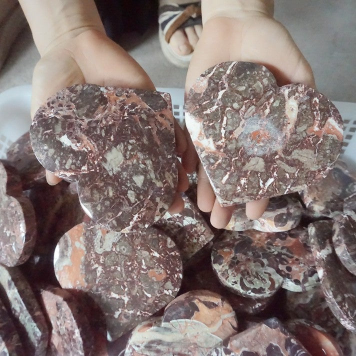 10Pcs 6LB Natural Money Agate Wealth Abundance Crystal Heart Chakra Stone Healing