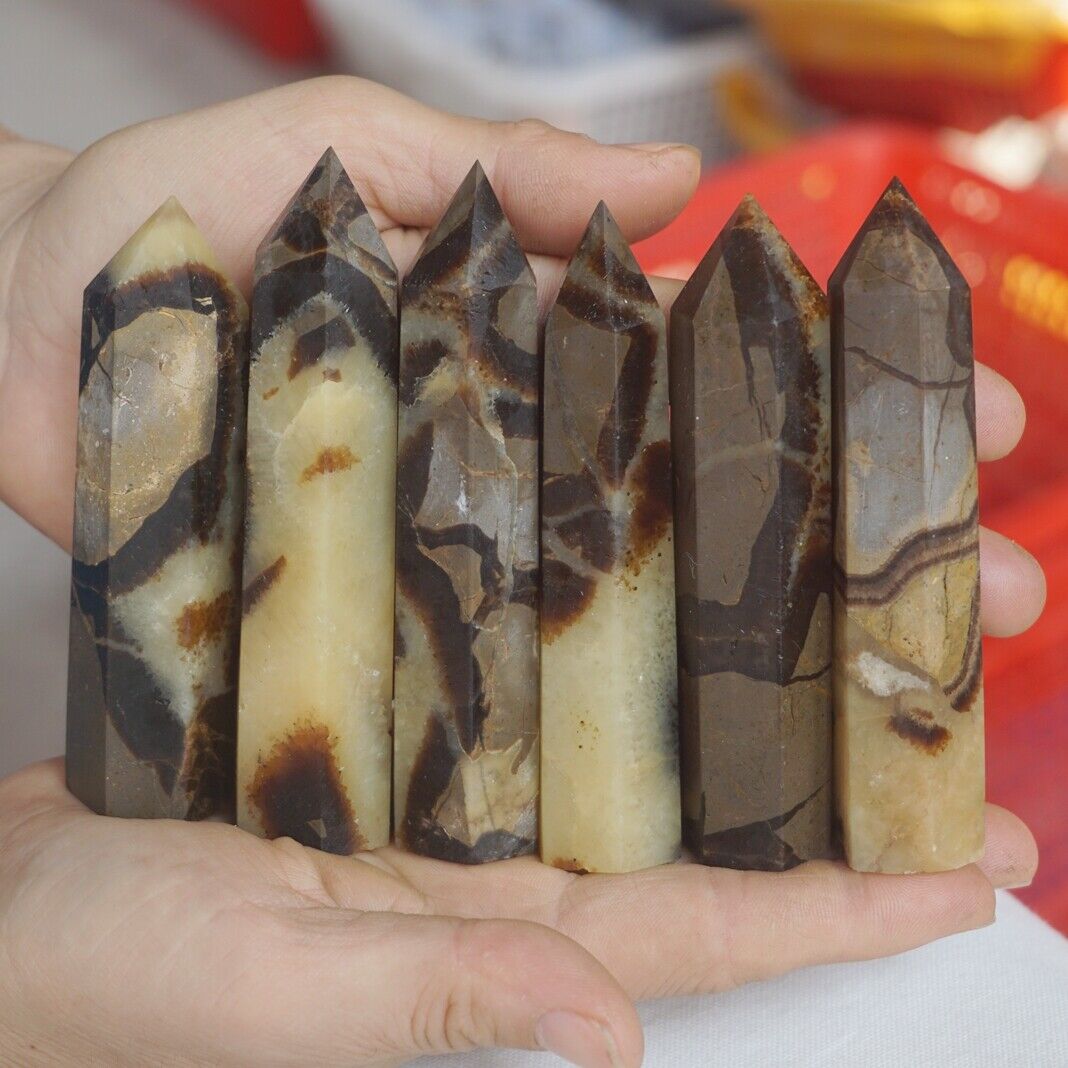 2KG 4.4LB 24Pcs Natural Dragon Septarian Geode Quartz Crystal Point Tower Healing