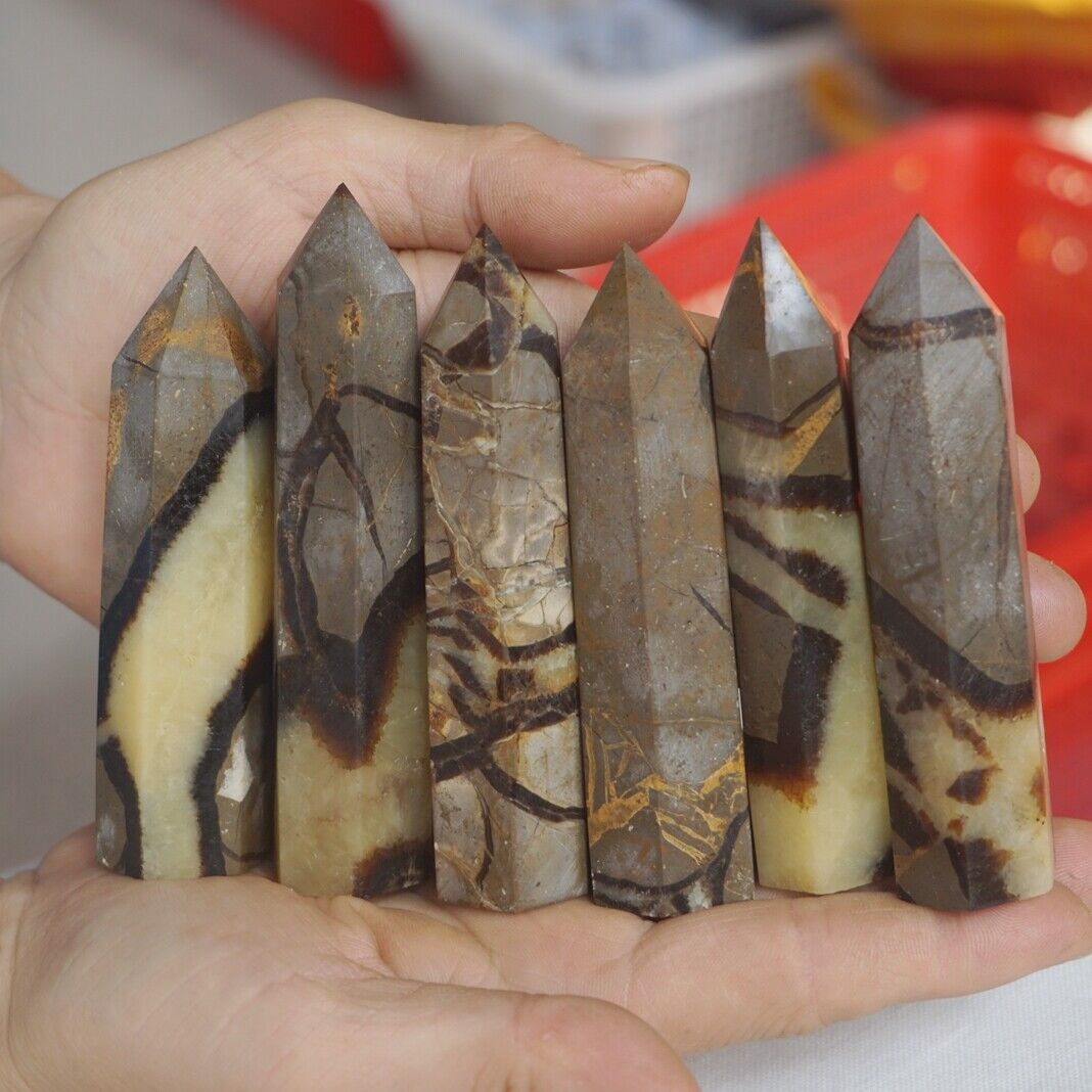 2KG 4.4LB 24Pcs Natural Dragon Septarian Geode Quartz Crystal Point Tower Healing