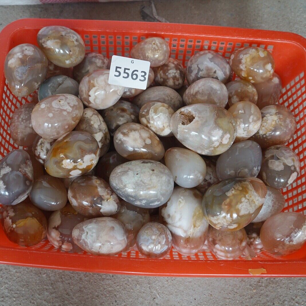 5KG 11LB 34Pcs Natural Phantom Ghost Carnelian Agate Crystal Eggs Carving Healing