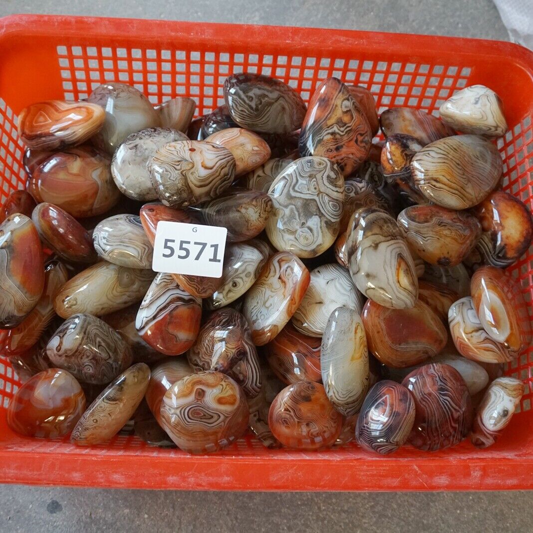 5KG 11LB 55Pcs Natural Banded Sardonyx Carnelian Silk Agate Crystal Palm Stones Healing