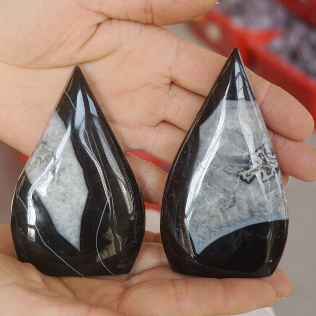 20Pcs 2.4KG Natural Black Carnelian Agate Crystal Point Geode Flame Palm Healing