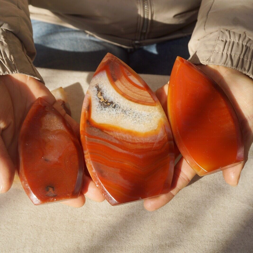 20Pcs 3.2KG Natural Red Carnelian Agate Quartz Crystal Geode Flame Point Healing
