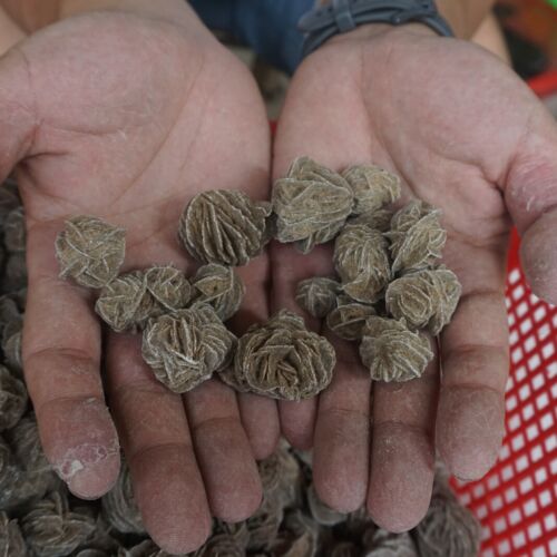 5kg 11LB Natural Desert Rose Crystal Selenite Sand Rose Rock Stone Cluster Sahara Bulk