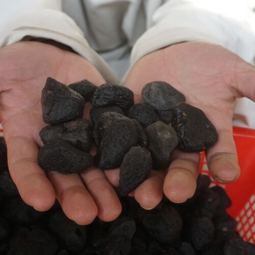 5kg 11LB 260Pcs Rare Sirian Meteorite Tektite Specimen Wholesale Price Indonesia