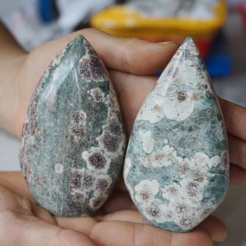 2.4KG 5.2LB 10Pcs Natural Green Sakura Jasper Crystal Point Flame Palm Stone Healing