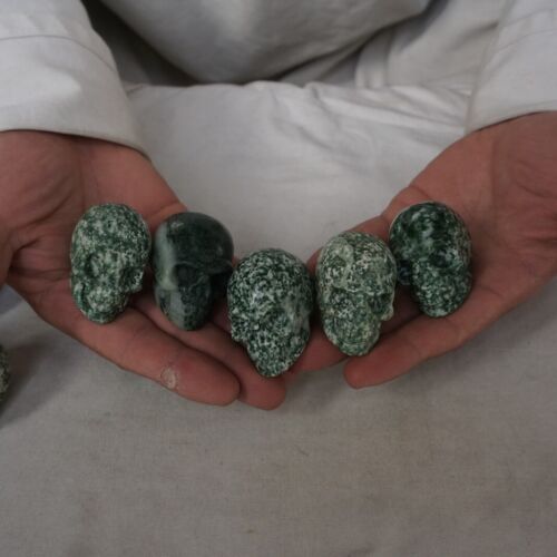 20Pcs 2.1kg 4.6LB Natural Green Snowflake Jasper Crystal Skull Head Sculpture Healing