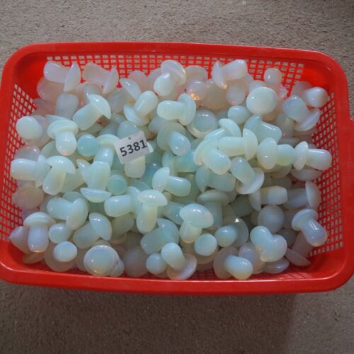 1.4KG 20Pcs 3LB White Opal Opalite Quartz Crystal Mushroom Carving Palm Healing 5cm