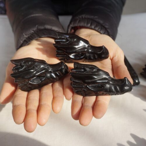 10Pcs 2.2LB Natural Black Obsidian Quartz Crystal Dragon Head Carving Healing