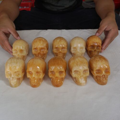 4.8kg 10.5LB 10Pcs Natural Yellow Translucent Calcite Crystal Skull Carving Healing