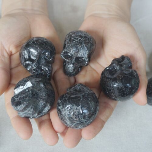 4.2LB 20Pcs 1.9kg Astrophylite Garnet Blue Flashes Crystal Skull Carving Head Healing 5cm