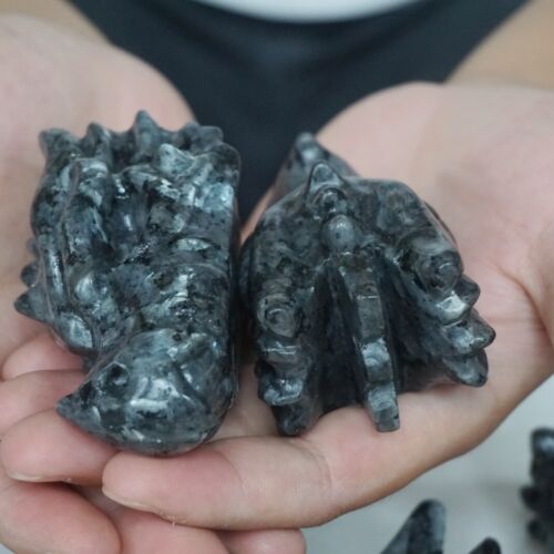 2.1KG 10Pcs 4.6LB Natural Flashy Larvikite Labradorite Crystal Dragon Head Carving Wholesale Lot.