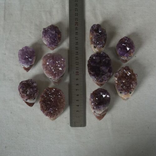 10 Pieces 1.8LB Natural Amethyst Quartz Crystal Cluster hedgehog Carved Head Sculpture