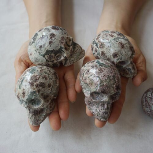 2.6KG 5.7LB 10Pcs Natural Green Sakura Jasper Crystal Skull Carving Healing Russia Bulk