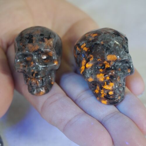 2.4LB 20Pcs Small Yooperlite Fire Stone Crystal Skull Flashing Flame Under UV