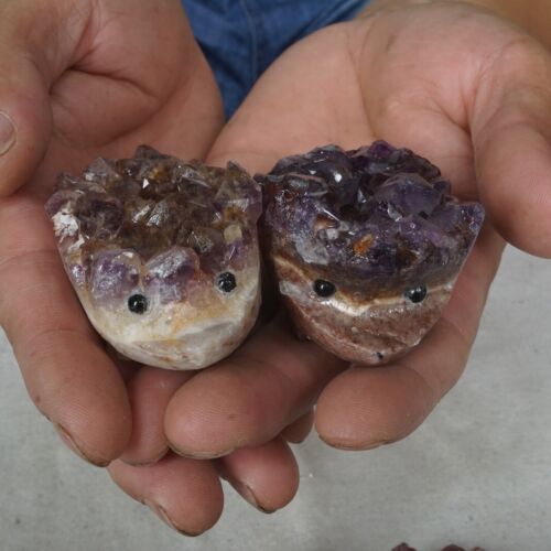 10 Pieces 1.8LB Natural Amethyst Quartz Crystal Cluster hedgehog Carved Head Sculpture