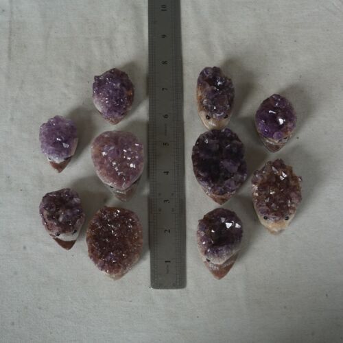 10 Pieces 1.8LB Natural Amethyst Quartz Crystal Cluster hedgehog Carved Head Sculpture