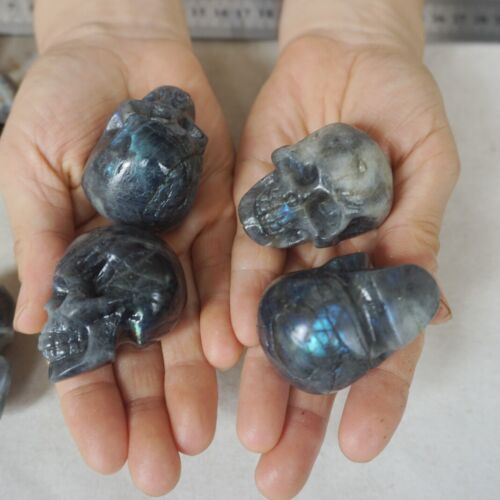 3LB 20Pcs Small Natural Rainbow Labradorite Quartz Crystal Skull Carving Head Healing