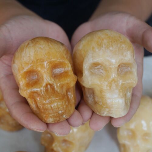 4.8kg 10.5LB 10Pcs Natural Yellow Translucent Calcite Crystal Skull Carving Healing