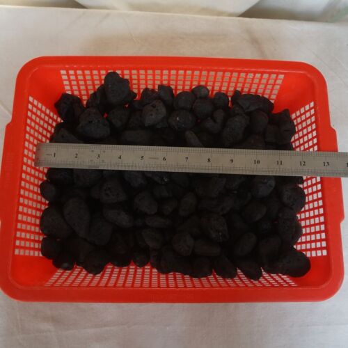 5kg 11LB 260Pcs Rare Sirian Meteorite Tektite Specimen Wholesale Price Indonesia