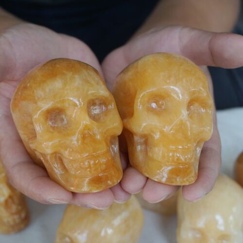 4.8kg 10.5LB 10Pcs Natural Yellow Translucent Calcite Crystal Skull Carving Healing