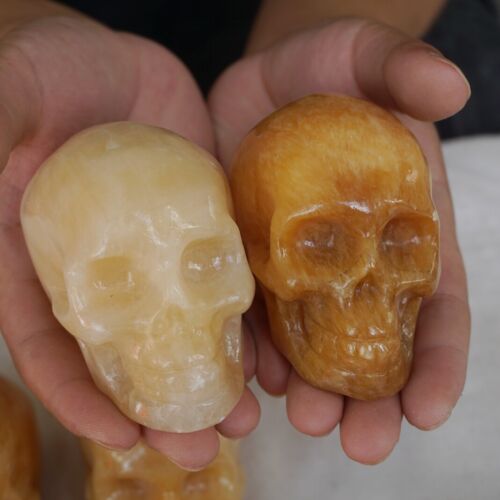 4.8kg 10.5LB 10Pcs Natural Yellow Translucent Calcite Crystal Skull Carving Healing