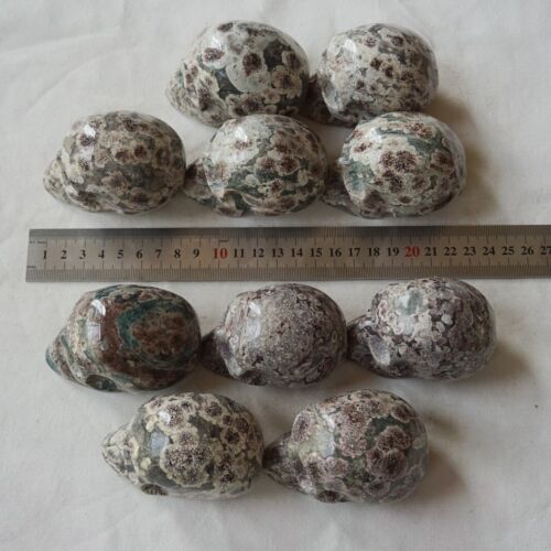 2.6KG 5.7LB 10Pcs Natural Green Sakura Jasper Crystal Skull Carving Healing Russia Bulk