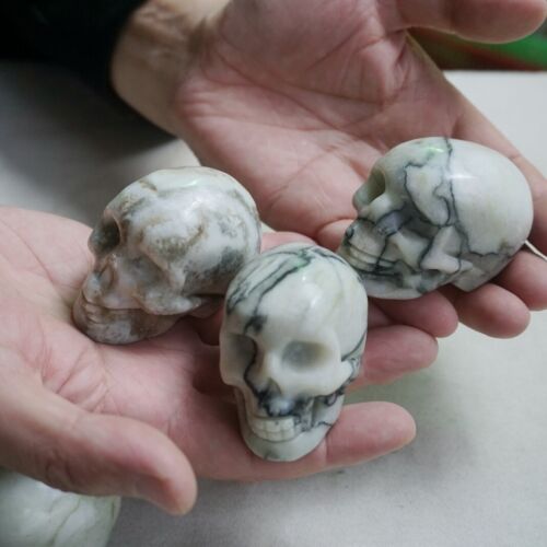 2KG 4.4LB 10Pcs Natural Network Jasper Crystal Skull Carving Head Sculpture Healing