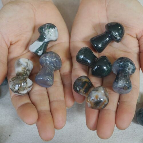 2kg 100Pcs 4.4LB Natural Moss Agate Carnelian Crystal Mushroom Carving Palm Healing 35mm