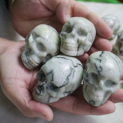 2KG 4.4LB 10Pcs Natural Network Jasper Crystal Skull Carving Head Sculpture Healing