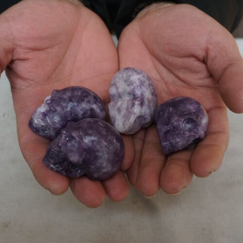 10 Pieces Small Natural Purple Mica Lepidolite Crystal Skull Healing Africa