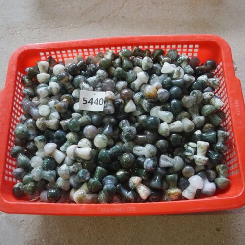 2kg 100Pcs 4.4LB Natural Moss Agate Carnelian Crystal Mushroom Carving Palm Healing 35mm