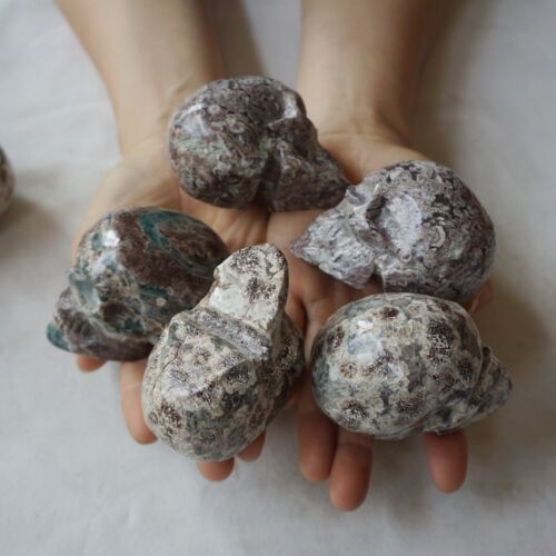 2.6KG 5.7LB 10Pcs Natural Green Sakura Jasper Crystal Skull Carving Healing Russia Bulk