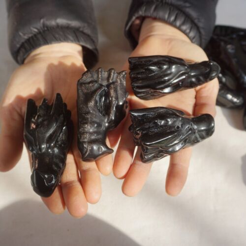 10Pcs 2.2LB Natural Black Obsidian Quartz Crystal Dragon Head Carving Healing