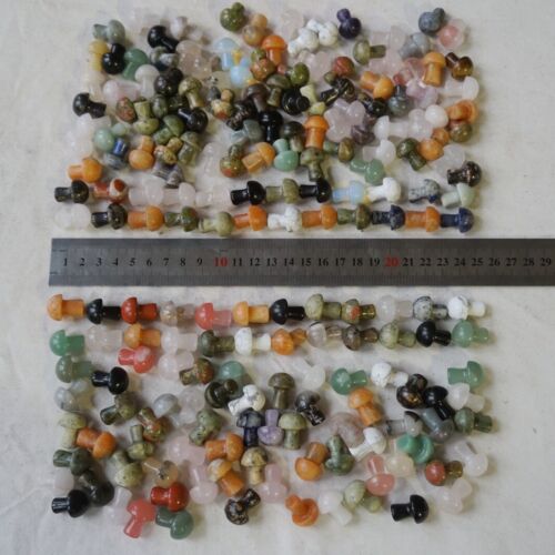 2KG 4.4LB 400Pcs Tiny Natural Quartz Crystal Jasper Mushroom Mix Stones Tumbled Healing