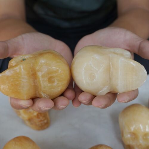 4.8kg 10.5LB 10Pcs Natural Yellow Translucent Calcite Crystal Skull Carving Healing