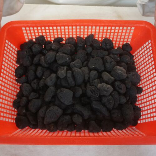 5kg 11LB 260Pcs Rare Sirian Meteorite Tektite Specimen Wholesale Price Indonesia