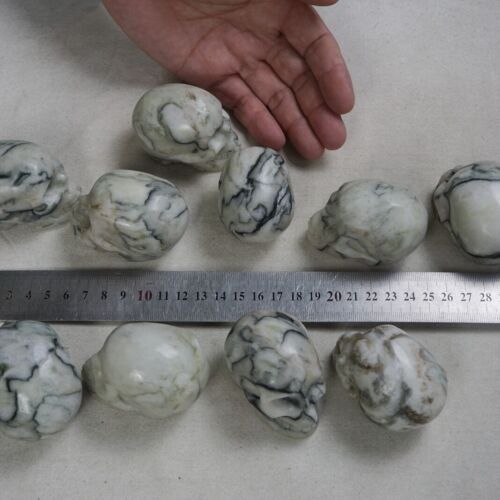 2KG 4.4LB 10Pcs Natural Network Jasper Crystal Skull Carving Head Sculpture Healing