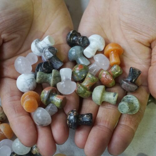 2KG 4.4LB 400Pcs Tiny Natural Quartz Crystal Jasper Mushroom Mix Stones Tumbled Healing