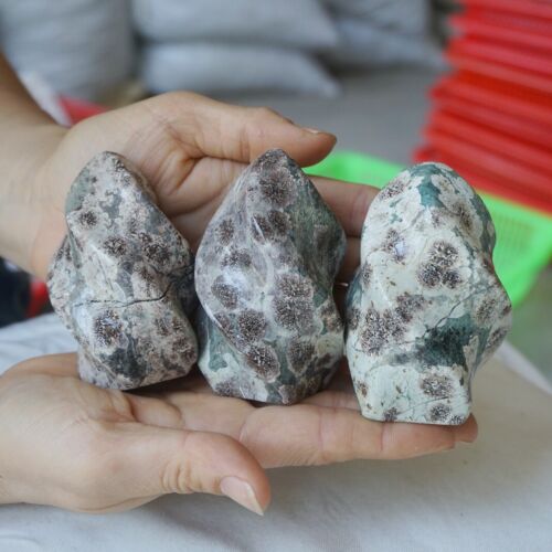 2.2KG 4.9LB 10Pcs Natural Green Sakura Jasper Crystal Flame Point Carved Healing