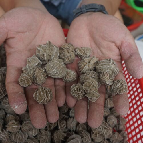 5kg 11LB Natural Desert Rose Crystal Selenite Sand Rose Rock Stone Cluster Sahara Bulk