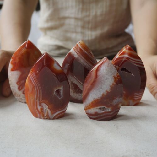 1.8KG 3.8LB 10Pcs Natural Red Carnelian Agate Crystal Point Flame Palm Stone Healing