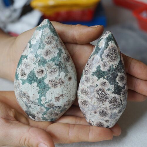 2.4KG 5.2LB 10Pcs Natural Green Sakura Jasper Crystal Point Flame Palm Stone Healing