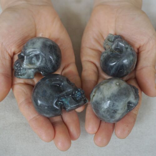 3LB 20Pcs Small Natural Rainbow Labradorite Quartz Crystal Skull Carving Head Healing